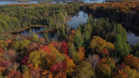 Majestuosos-Lagos-Y-Colorido-Bosque-Otoñal-A-Vista-De-Pájaro,-Canadá,-Ontario