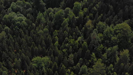 Aerial-View-Of-Saxon-Switzerland-Schrammstein-Aussicht,-Bad-Schandau,-Germany