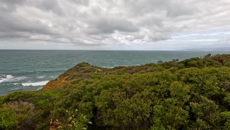 wide-angle camera pan reveals dense coastal shrubland, windswept dunes, and rugged ocean cliffs under overcast skies along australia's great ocean road