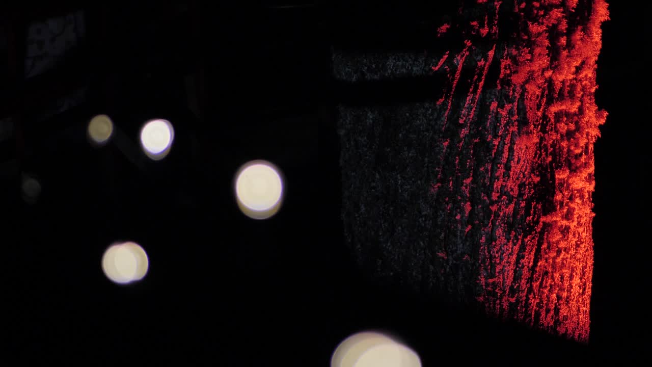 크리스마스에 조명이 켜진 나무들