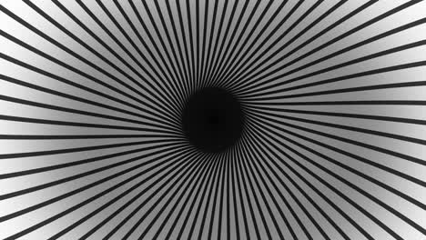 animation of black and white stripes spinning over black background