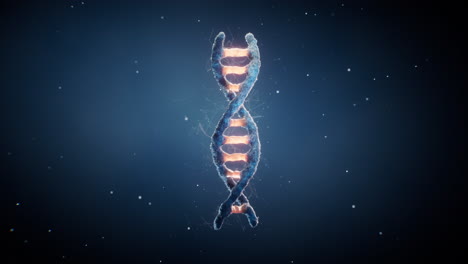 biological dna structure with bioengineering concept, 3d rendering.