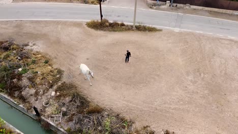 man leading a white horse in a rural area