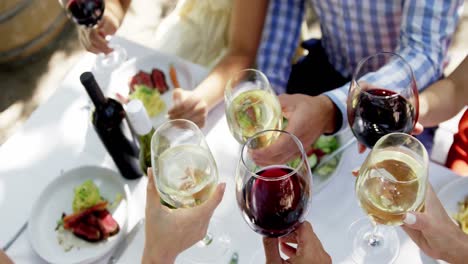 group of friends toasting wine glasses