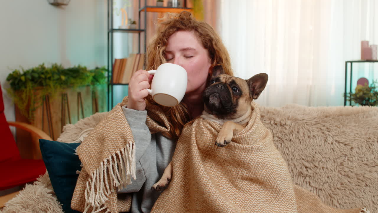 Young woman with tea cup wrapped in blanket on home sofa with pug dog cozy together under cover