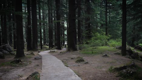 Manali-nature-park-,-Manali-,-Himachal-Pradesh