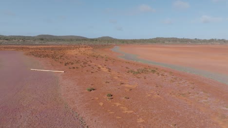 aerial view of a vast red earth arid landscape with sparse vegetation and distant hills