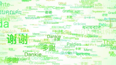 "thank you" in various languages.