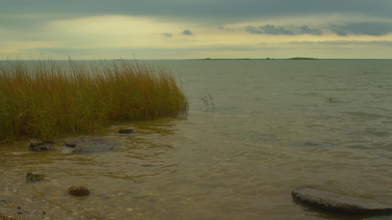 Timelapse of waves and grass on the banks of the gulf of Mexico, Southern Texas 4K