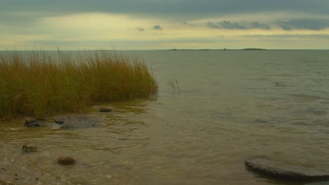 timelapse of waves and grass on the banks of the gulf of mexico, southern texas 4k