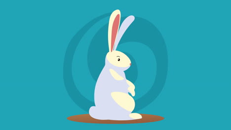 cute rabbit seated farm character