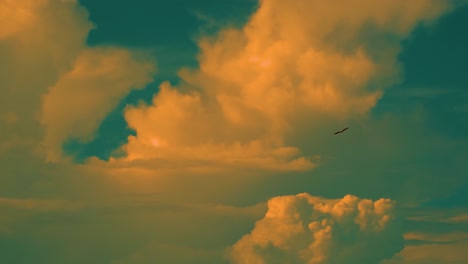 eagle soaring high above the sky with cumulonimbus clouds at sunset