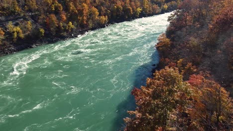 aerial drone footage reveal shot of a river during autumn season