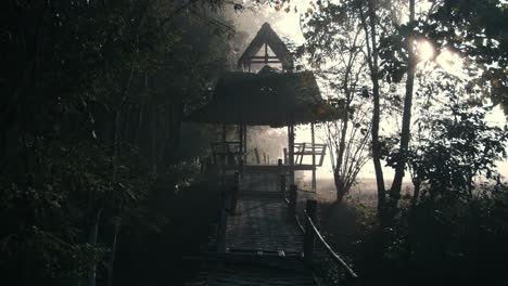 a bamboo bridge and hut in the mist next to rice fields in thailand