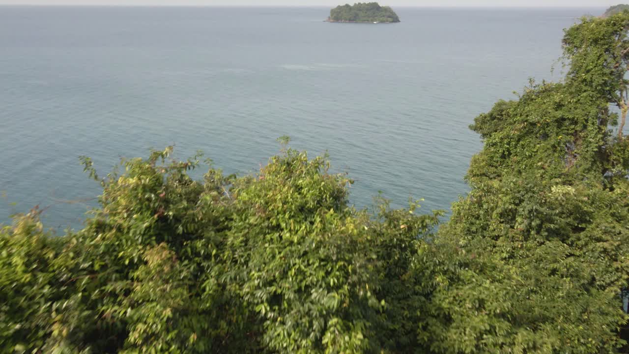 공중 조류 눈 드론 돌리는 열대 울창한 정글 열대 우림 나무와 바다와 섬이 배경에 있는 초목을 아래로 기울입니다.