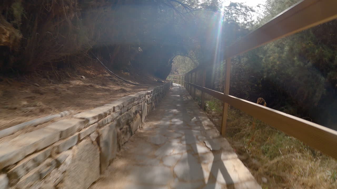 каменная дорожка с деревянным забором на склоне холма, ведущая в лес в летний день на фуэртевентуре, канарские острова, испания