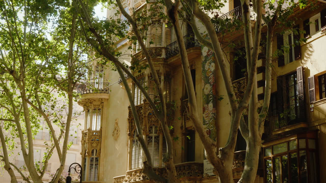 Sunlit tree-lined street in Palma, Mallorca showcasing historic architecture. Perfect for travel documentaries or European cityscape projects.