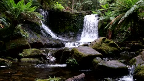 summer flow on horseshoe falls in tasmania