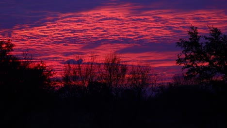 Toma-Estática-De-Un-Hermoso-Cielo-Púrpura-Y-Rosa-Vibrante-Con-Siluetas-De-árboles