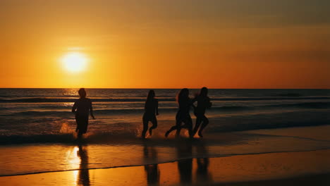 silhouettes of people enjoying the sunset on a beach