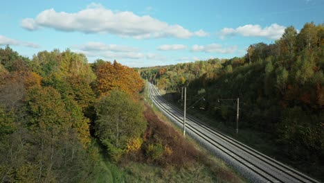 aerial: beautiful trees with yellow leaves in autumn forest near rail road