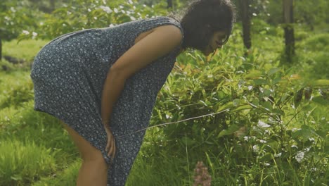 Woman-bends-over-to-look-at-insects-and-flowers-on-bush-in-orchard