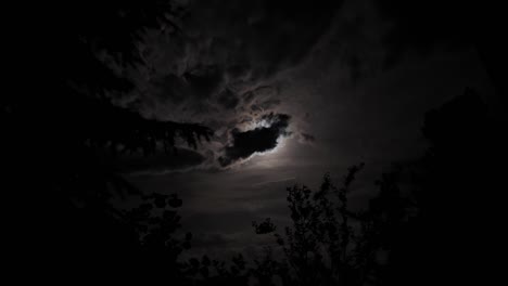 moon covered by dark clouds at night, time lapse with cloudy landscape and moonlight motion behind fir tree silhouette, dramatic sky at night