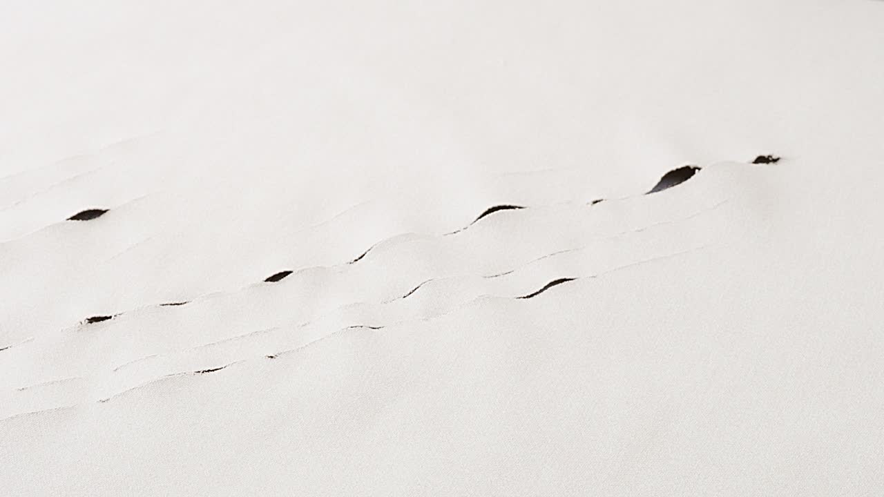 Camera slowly circles claw-like tears on light-colored fabric, revealing dark color underneath