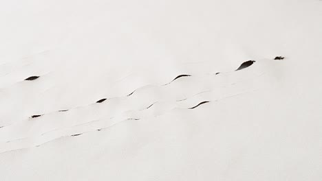 camera slowly circles claw-like tears on light-colored fabric, revealing dark color underneath