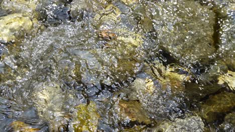 water flowing over a river with rough rocks.