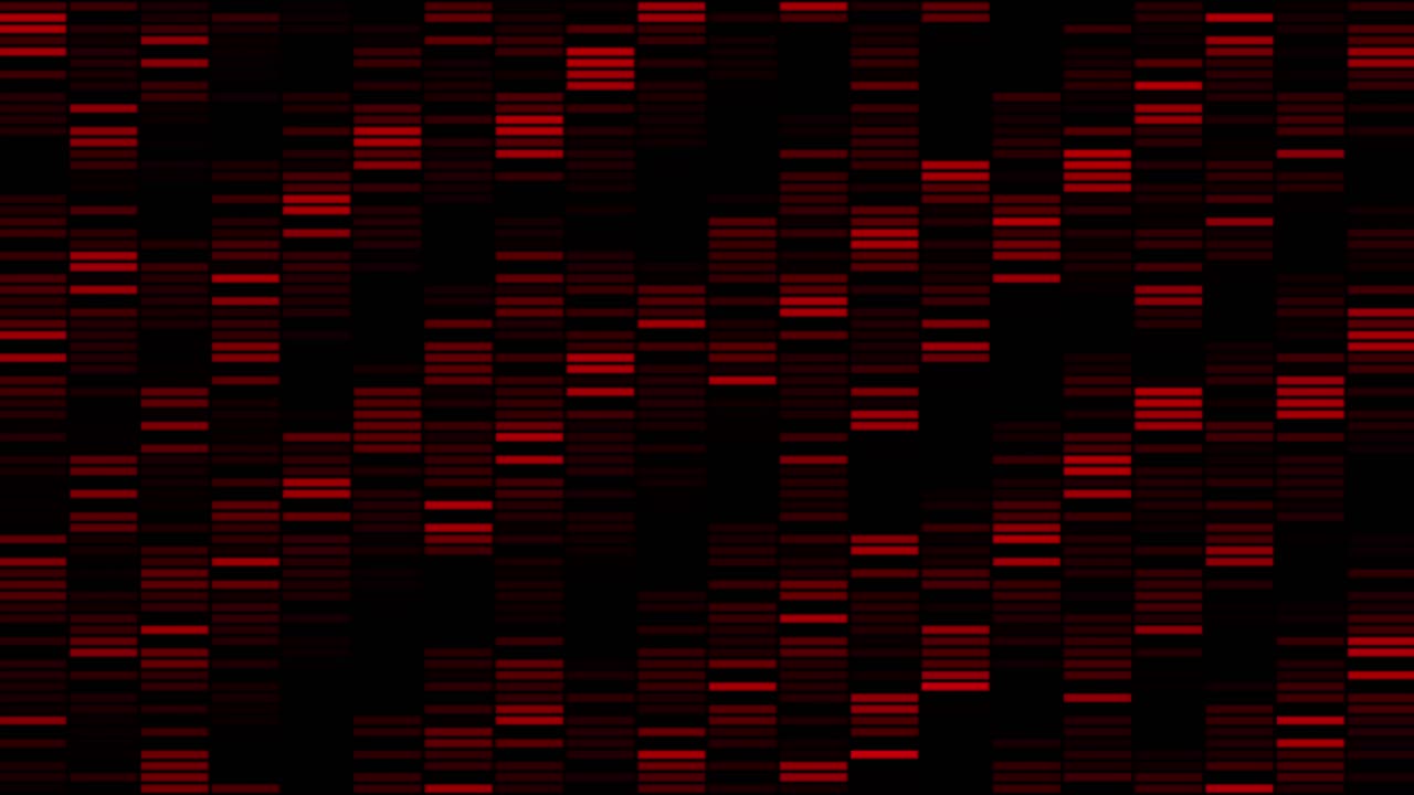 Abstract red and black pattern