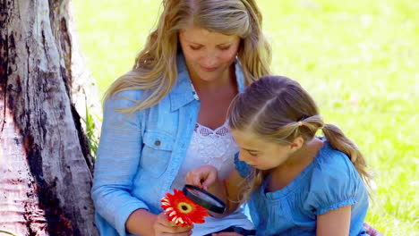 girl using a magnifying glass on a flower