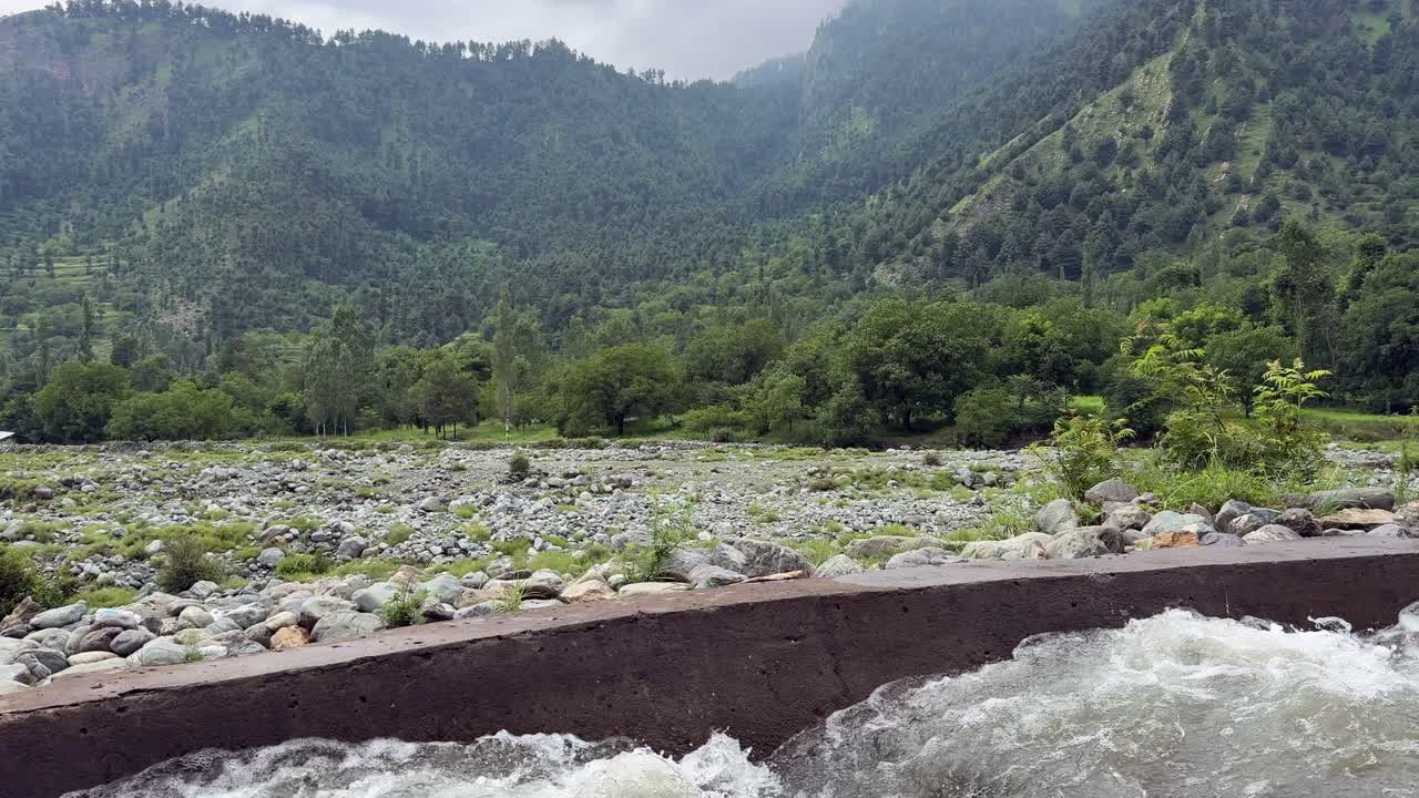 Water Nature Beauty, Travel Through Kashmir Green Landscapes, Birds, Water, Plants and the Life of Indian Farmers, ploughing bull and Environment Lovers