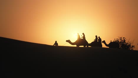 tourists riding camels in saudi arabia