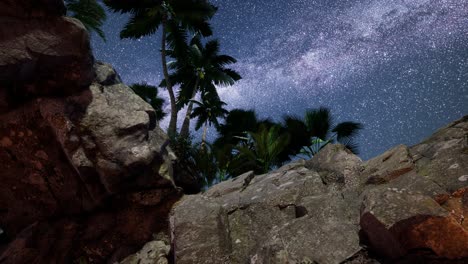 4k hyperlapse star trails over sandstone canyon walls and palms