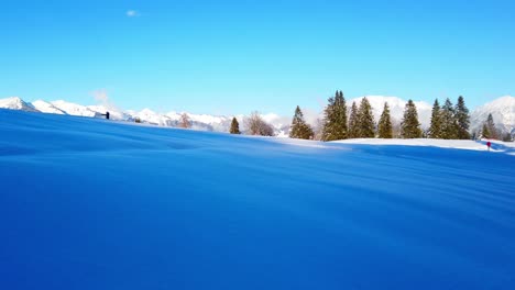 scenic snow field with alps and pine trees during light of day