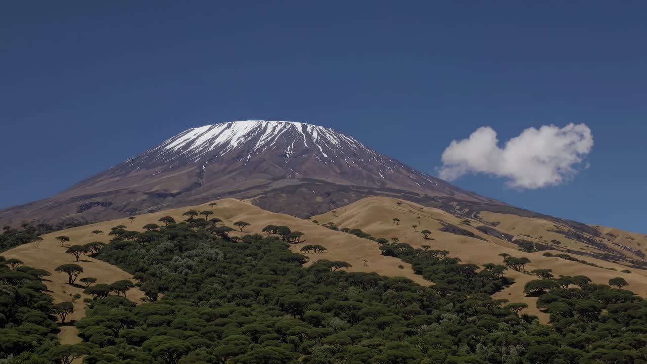 A wide-angle video shot of a snow-capped mountain under a clear blue sky, with lush green trees