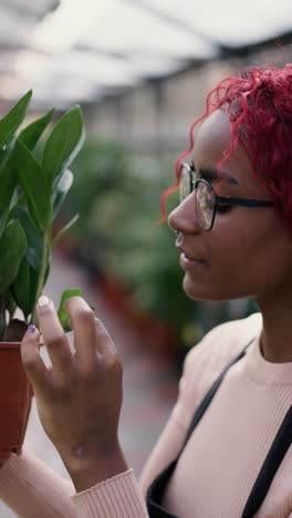 woman checking potted plant in greenhouse