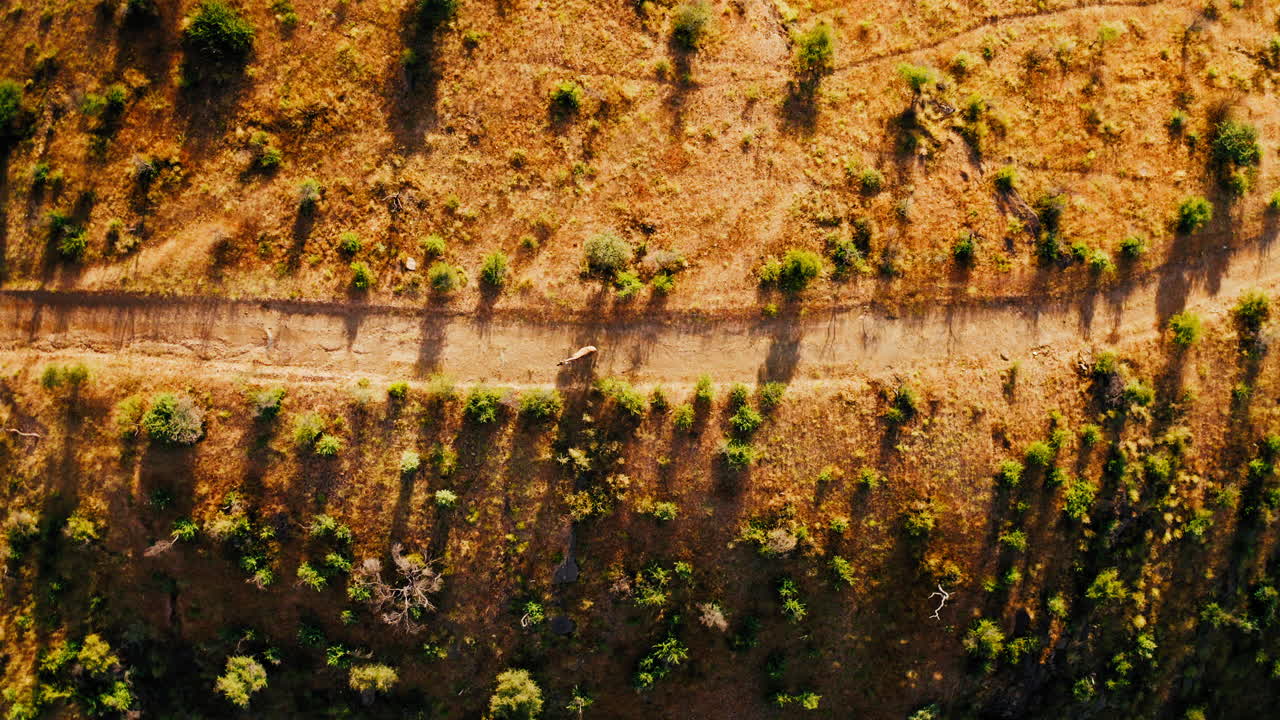 High Angle View of a Hilly Landscape with a Path