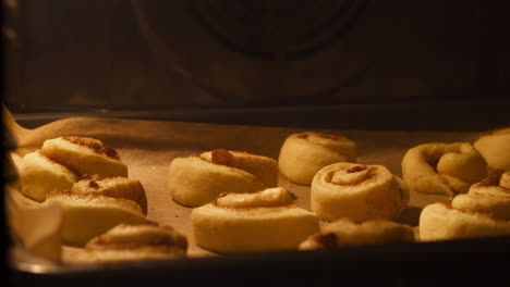 baking cinnamon rolls in the oven. - closeup shot, timelapse