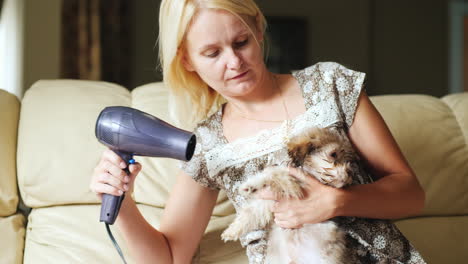 Mujer-Seca-Cachorro-Con-Un-Secador-De-Pelo