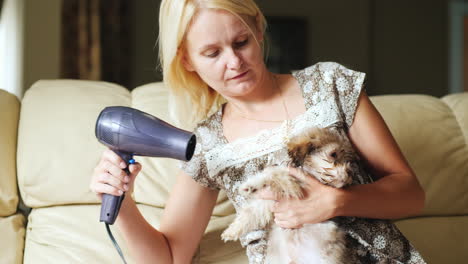 mujer seca cachorro con un secador de pelo