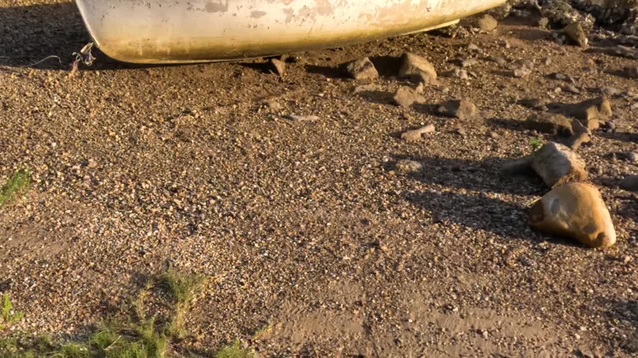 Two rowboats sit on a pebbled shore beside calm lake waters under soft sunlight.