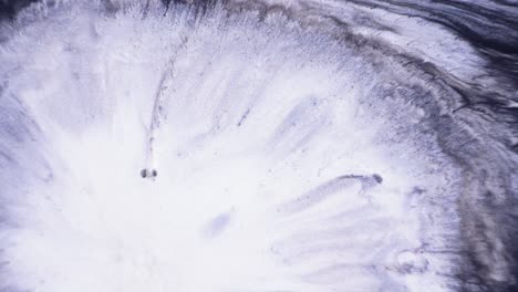abstract fluid art