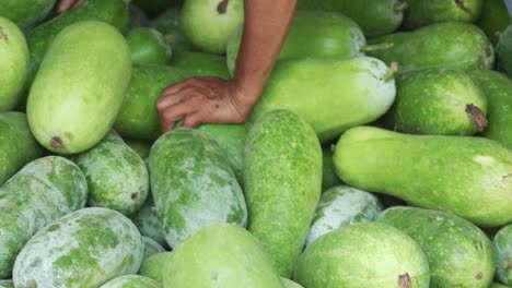 squash groenten op de aziatische lokale markt gestapeld terwijl een verkoper de kwaliteit van biologisch natuurlijk voedsel te controleren