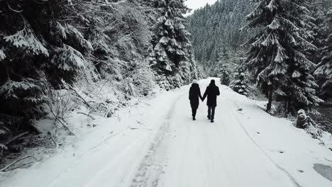 aerial overpass steam goes on the road in the woods during a snowy winter aerial overpass steam goes on the road in the woods during a snowy winter happy couple in love travels in winter