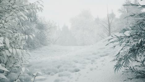 paisaje de bosque nevado de invierno
