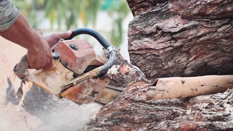 deforestación, concepto de tala de bosques
