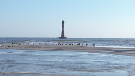 lighthouse on a beach with birds
