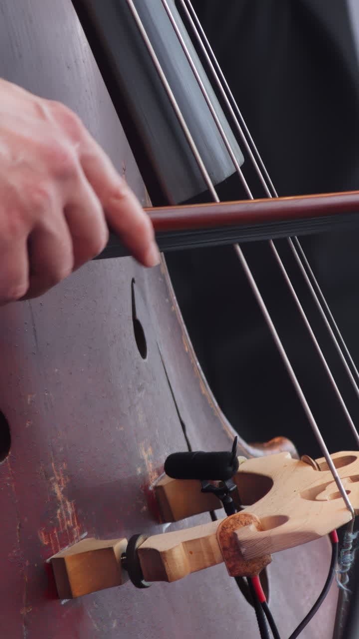 Closeup of Double Bass Player
